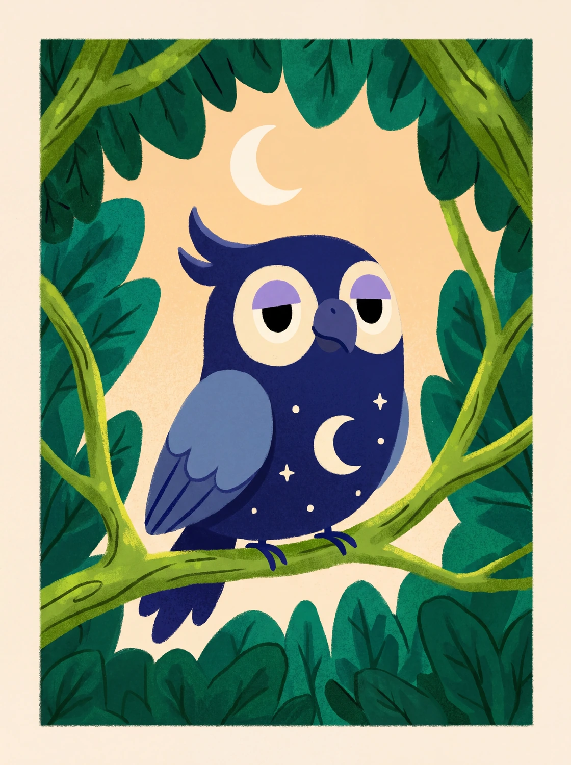 Midnight Conure