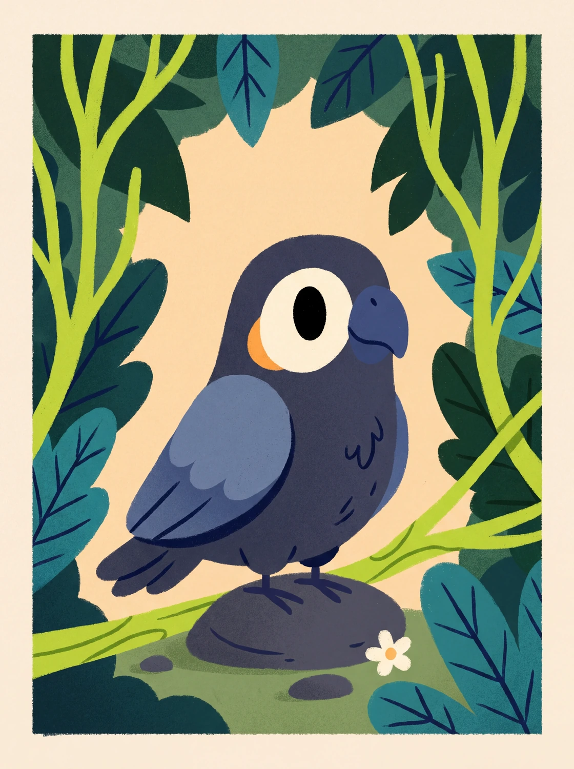 Obsidian Conure
